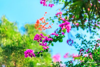 ​鸿山公园：远离都市尘嚣 沉淀心灵所在