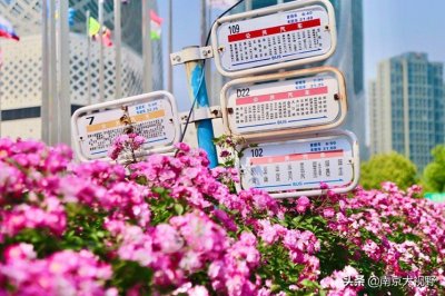 ​乘客觉得不便，南京“最美公交站台”，美从何来？