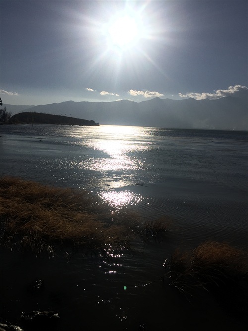 大理四景“风、花、雪、月”——洱海月