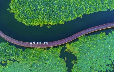 ​微山文旅特色攻略|国庆打卡微山湖旅游区的红色教育之旅！