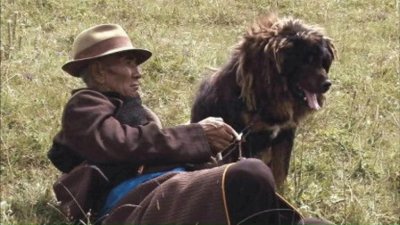 ​《败犬的反击》：逆袭之路，永不言败