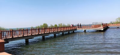 ​望宁洛高铁河南段早日开工