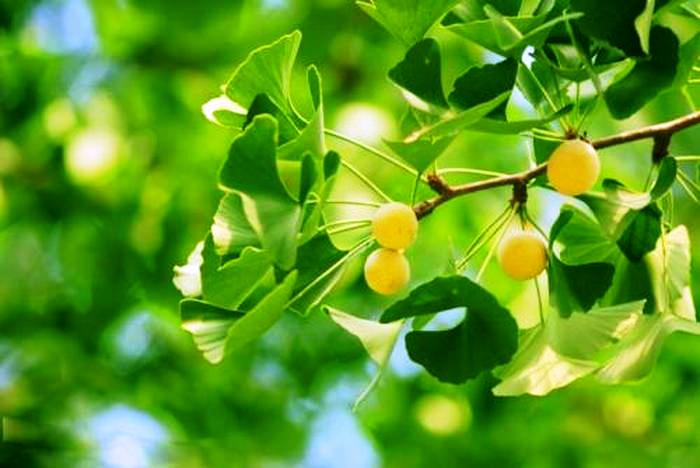 80句描写大自然的比喻句,鲜活别致,常读读,告别干巴巴的语言