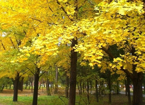 80句描写大自然的比喻句,鲜活别致,常读读,告别干巴巴的语言