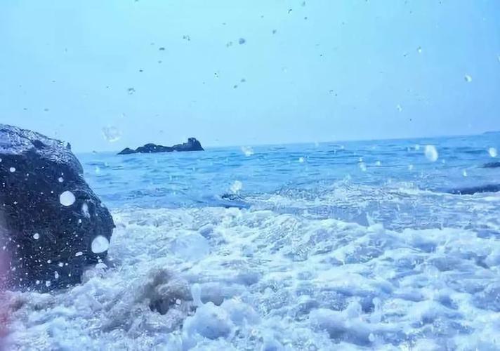 2、龙口港物流园-龙口水库—森林公园(观海豹、海龟、长臂猿等珍稀动物,感受浪漫海滨城市的浪漫氛围)