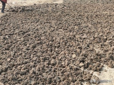 ​种小麦，底肥用什么肥料，能获得高产