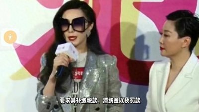 ​范冰冰阴阳合同逃税事件始末，因逃税受罚，演艺事业遭遇重创