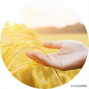 ​聊城秦某遇上“好友”求助，好心转账结果被骗……还好民警追回来了！