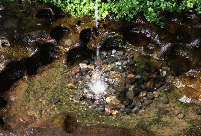 小池这首诗配一幅插图简单又好看(杨万里咏小池诗如画)(2)