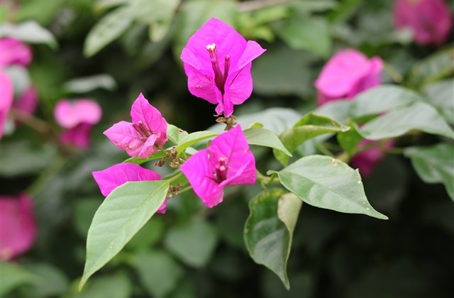 特别诱人还甜的网名(精选139个)