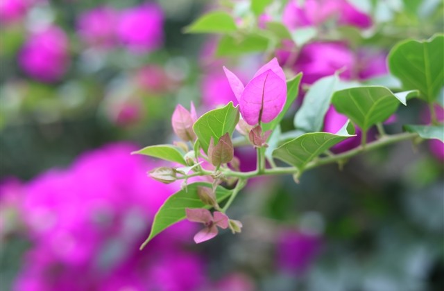 好听的瘦身店铺名字(优选144个)