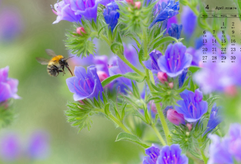 1692912544468357.png image.png