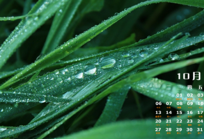 ​与十一月有关的昵称(共91个)