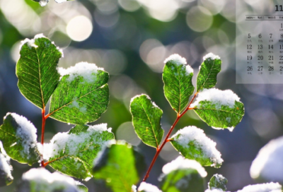 ​逆水寒帮派名字大全(87个)