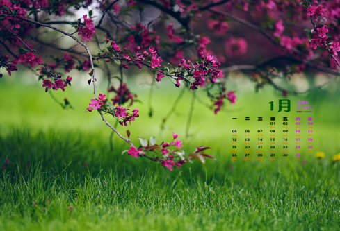 1692970169700127.png image.png