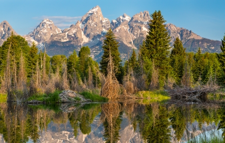 独一无二的王者昵称大全117个