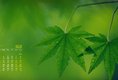 ​魔兽世界盗贼搞笑名字(精选73个)