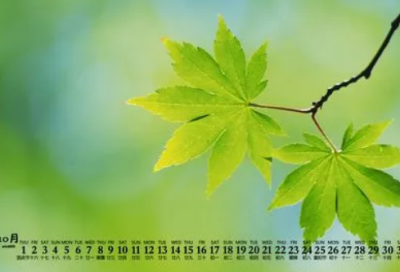 ​带符号两个字网名(优选79个)