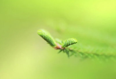 ​清新不做作的网名(优选71个)