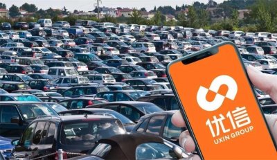 ​时代悲歌：小李子也救不了优信二手车