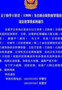 ​离石王四四（离石王四四简介）