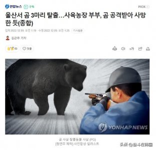 ​濒危物种VS人命？韩两夫妻被自家农场黑熊攻击致死，黑熊惨遭射杀