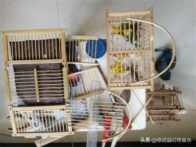 ​自己制作蝈蝈笼子
