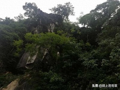 ​“娶妻不娶有弟妻，嫁夫不嫁有兄夫”，老祖宗的婚配之道您怎么看