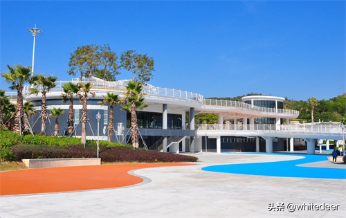 冬日的惠州大亚湾黄金海岸 -- 蓝天白云，海天一色