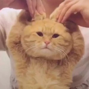 ​女追男的六大妙招，招招致命