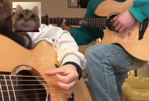 1686354192865354.png image.png