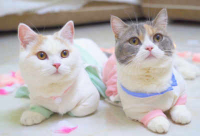 ​关于讽刺封建社会的人的名言精选73条