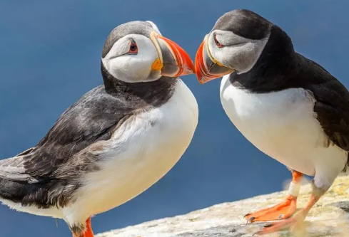 1686369179126977.png image.png