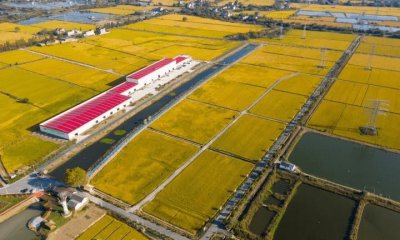 ​什么是共同富裕？