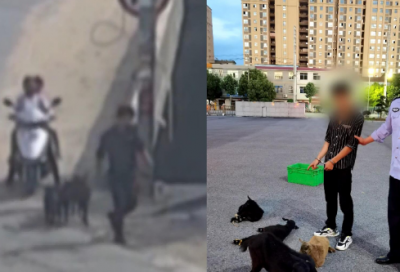 ​最新的关于古文名言警句大全(关于孝的名言警句大全)