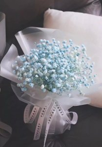 ​满天星花语、寓意