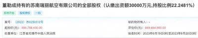​瑞丽首富董勒成“盛宴”谢幕，旗下苏南瑞丽航空22.24%股权被拍卖