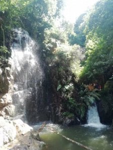 ​肇庆黄金沟景区生态游成为湾区游客打卡地