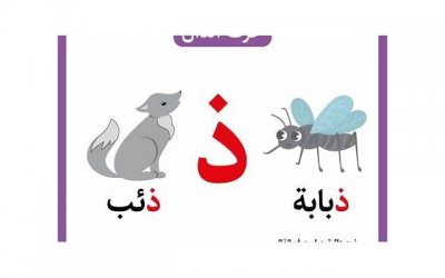 ​结婚证可以在异地办理吗