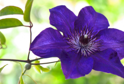 ​男孩的名字简单好记取名，男孩名字简单大方洋气