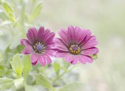 ​网络名字大全