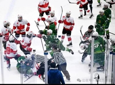 ​冰球冲突：允许打架？体育精神还剩几何？
