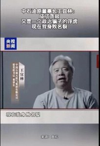 ​中石油原董事长王宜林“现在我身败名裂”的忏悔