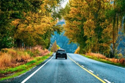 ​姓氏探源之卜姓考