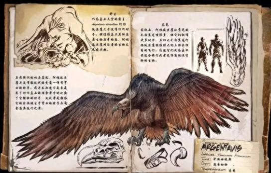 阿根廷神鹰神一般存在?《方舟生存进化》玩家单人就能制服它