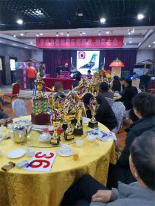 ​著名“鸽乡”平原的鸽子拍卖会