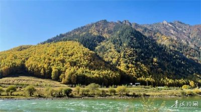 ​迎来颜值巅峰！青海仙米国家森林公园金秋美如画