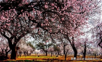 ​【中国旅游日】带你领略秀美东乡