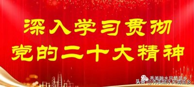 ​感动中国2022年度人物杨宁：敢卖婚房种新田