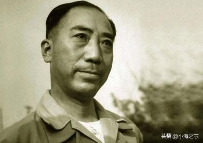 ​军统之花向影心：为毛人凤生下8个孩子，戴笠死后，被送入疯人院